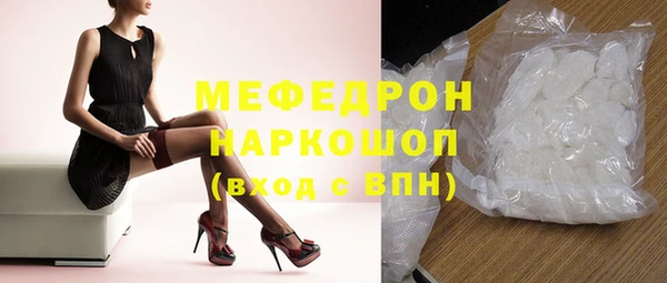 соль ск Ельня