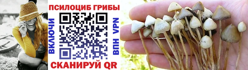 Псилоцибиновые грибы GOLDEN TEACHER  Купить  Заринск 